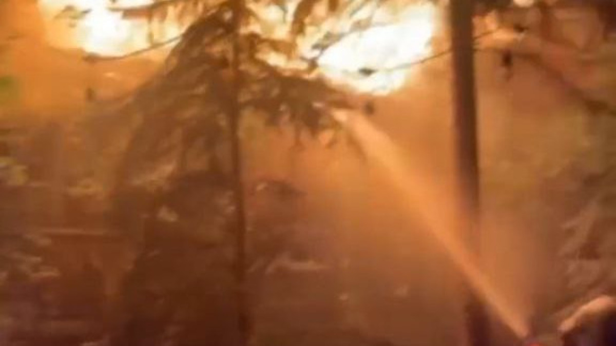  Видеодан кадр 