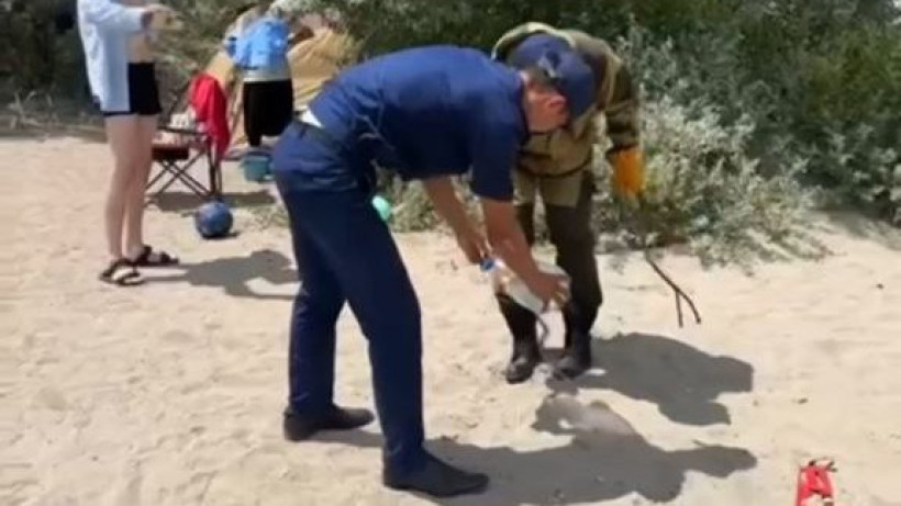  Видеодан кадр 