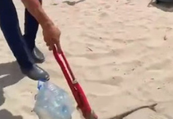 Карагандинские спасатели поймали на пляже змею