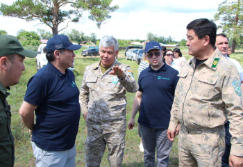 Орман шаруашылығы саласында жастарға жағдай жасау керек – Мәжіліс депутаты
