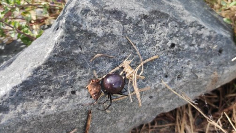  Баянаульский национальный парк 