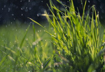 «Бұршақ, жаңбыр, дауыл». Алдағы күндері ауа райы қандай болады