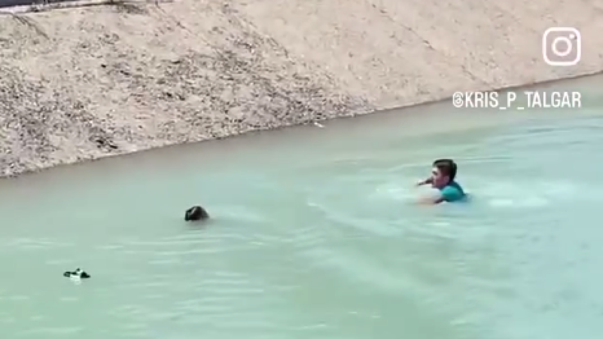  instagram/kris_p_talgar 