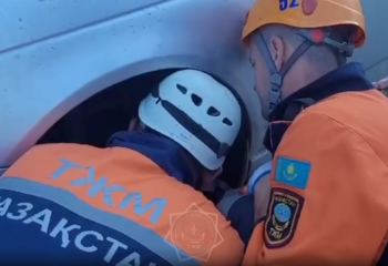 Собака застряла под машиной в СКО: спасение попало на видео