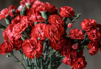 Қарағандыда гүл сатып алған ер адамды полиция ұстап әкетті