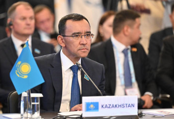 Казахстан разработает модельный закон о семейно-бытовом насилии для СНГ