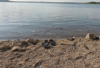 Жетісу облысында 4 жасар бала құтқарылды