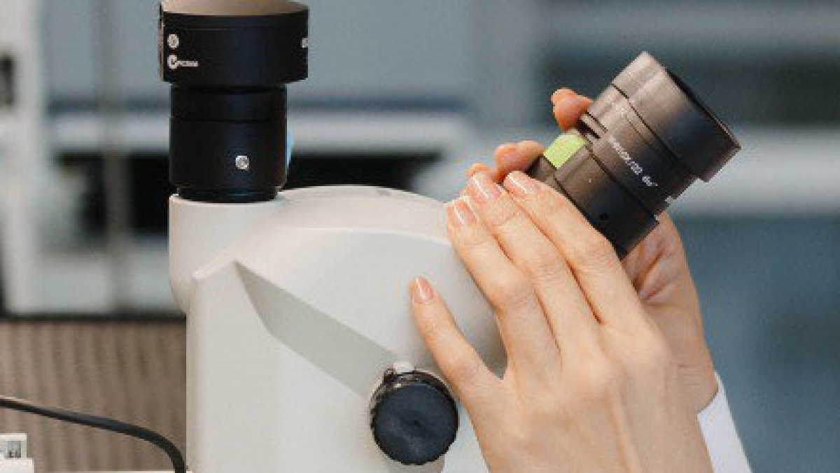  El.kz/ Жалгасбек Токтамысов 