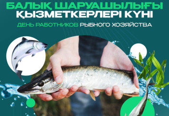 Количество рыбоводных хозяйств в Казахстане увеличилось в 2,5 раза за 2 года