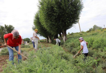 «Игі істер марафоны» кезінде 500-ден астам игі іс атқарылды