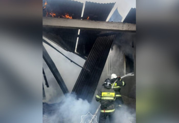 Крупный пожар произошел в Алматинской области