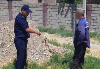 Таза Қазақстан: 21 тысяча правонарушений выявлена в Туркестанской области