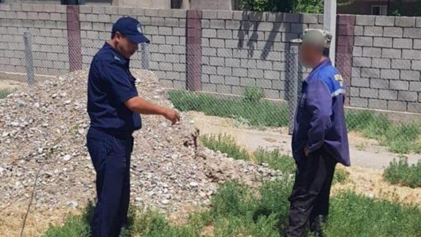  © акимат Туркестанской области 