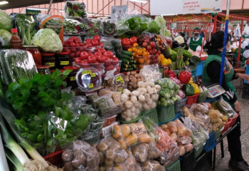 Алматыда бірқатар көкөніс бағасы тұрақталады