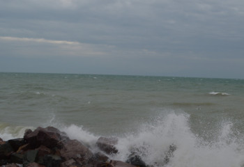 Министерство водных ресурсов и ирригации разрабатывает II фазу проекта по сохранению Северного Арала