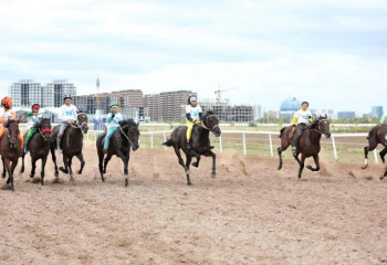 Жылқыда да жылқы бар, қазанаты бір бөлек