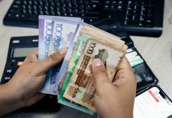 Несиеге қатысты жаңа шектеулер енгізілмек