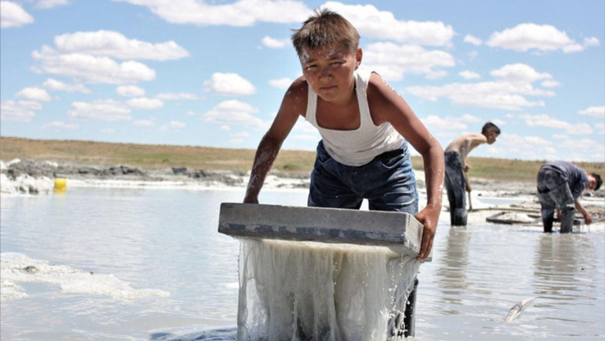  Ұлттық киноны қолдау орталығы 