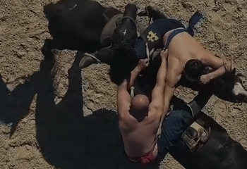 Сколько будут стоить билеты на Всемирные игры кочевников