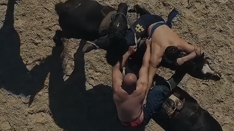  Официальный ролик Всемирных игр кочевников 