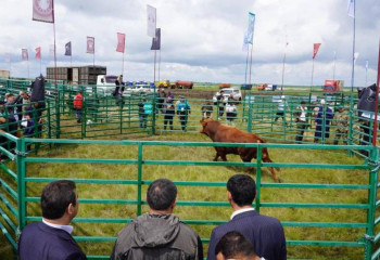 День поля: 200 аграрных компаний собрались в Акмолинской области