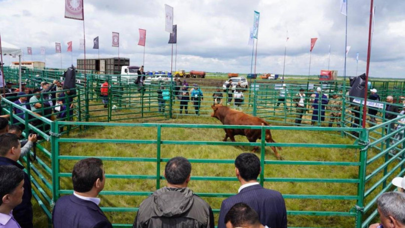  © акимат Акмолинской области 