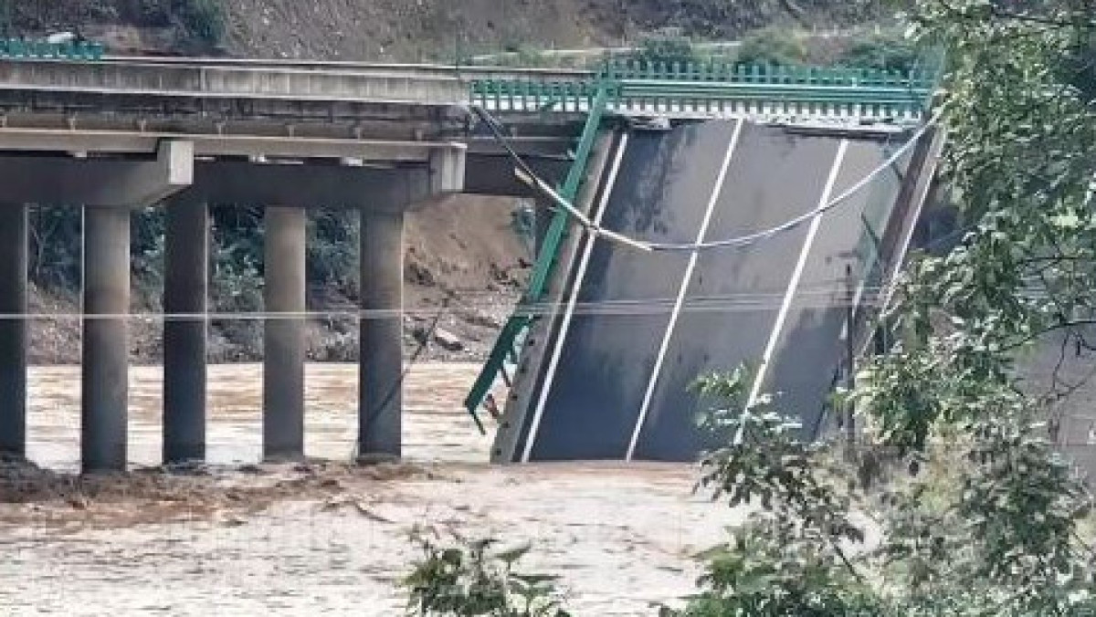  Видеодан кадр 