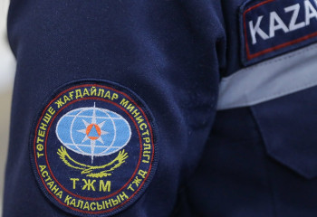 В Астане ливквидировали пожар сухостоя площадью 1500 кв.м