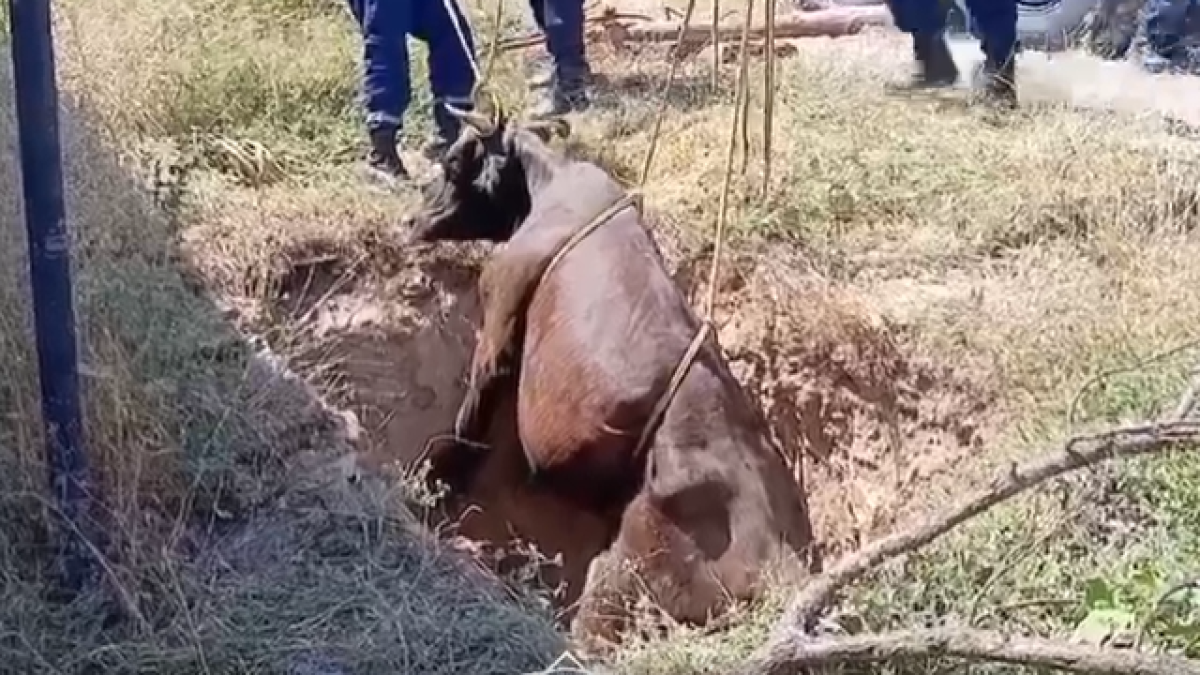  ҚР ТЖМ / Видеодан алынған кадр 