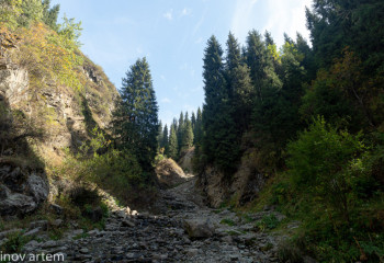 Пропавшего 67-летнего мужчину нашли на плато Ассы в Алматинской области