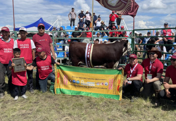 Назван Лучший бык Казахстана – победитель Национального конкурса
