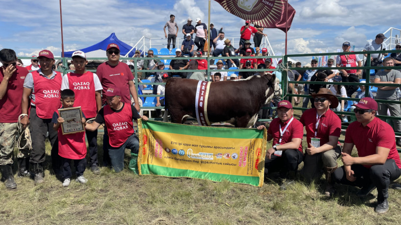  instagram/jana_dala_greenday 