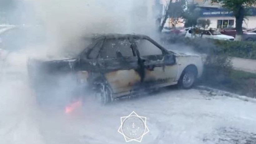  Видеодан кадр 