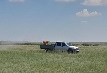 Абай облысында шегірткеге қарсы күрес басталды