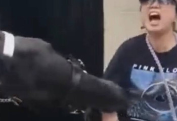 Лондонда күзет жылқысы туристі тістеп алды