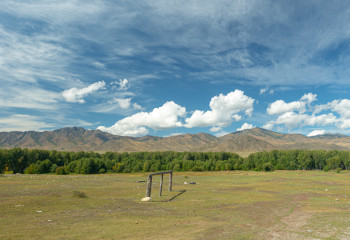 В Семее выявлено незаконное предоставление акиматом земельных участков