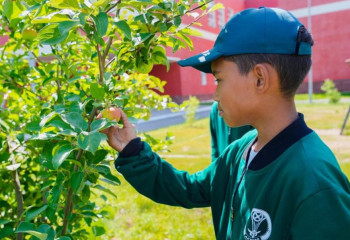Яблоневый сад посадили столичные школьники