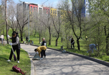 Новые правила благоустройства утвердили в Алматы