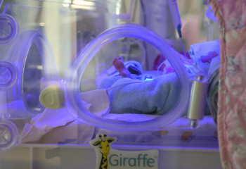 Павлодар облысында 12 жасар оқушы ана атанды