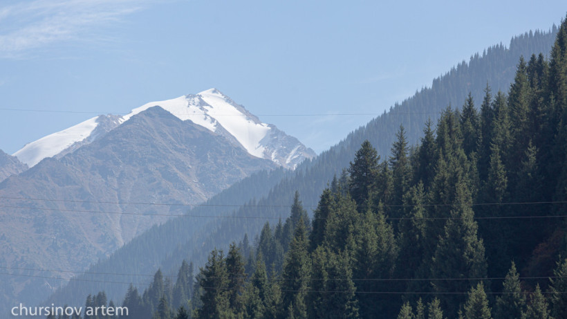  El.kz/Артем Чурсинов 