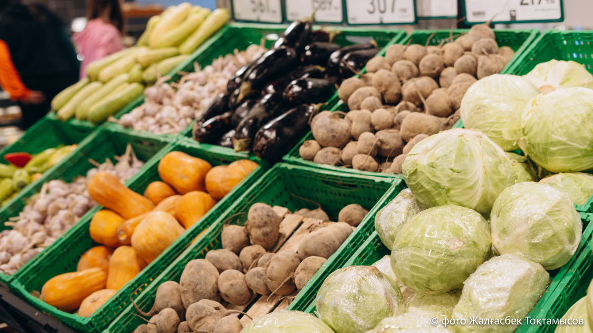  El.kz/Жалгасбек Токтамысов 