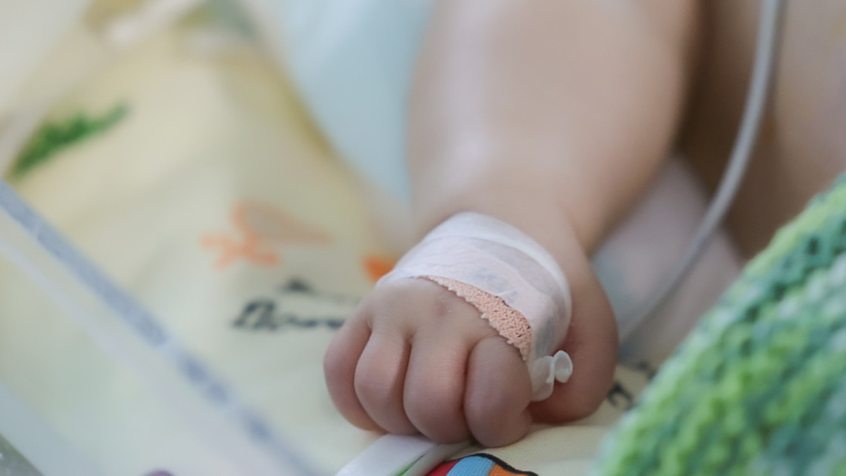  © El.kz/Арман МУХАТОВ 