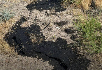 Нефть нашли на территории одной из школ Атырау