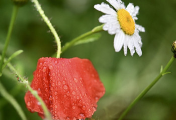 Қазақстанда бүгін ауа райы қандай болады