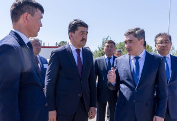 «Түбегейлі соққы беруі керек». Бектенов заңсыз ағаш кесетіндермен күресуді тапсырды