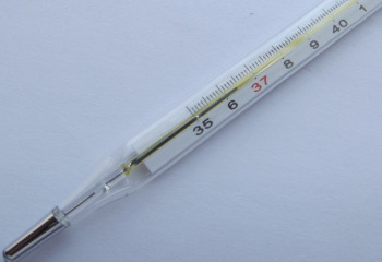 Бразилияда Оропуш қызбасынан екі адам көз жұмды