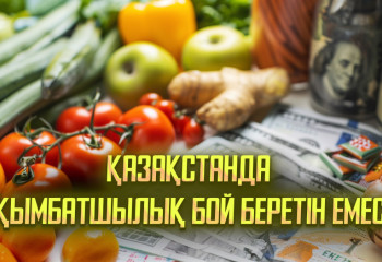 2024 жылы қандай қызметтер мен тауарлардың бағасы өсті?