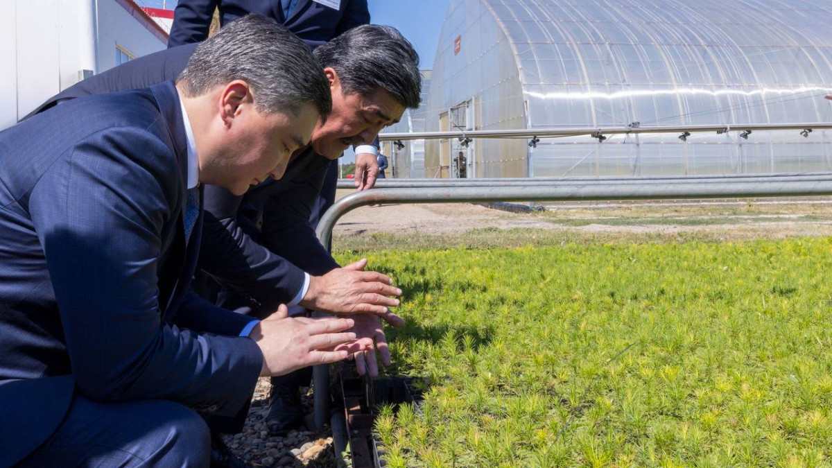  ©Официальный Telegram-канала Правительства РК 