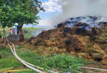 Абай облысында 45 тонна шөп өртеніп кетті