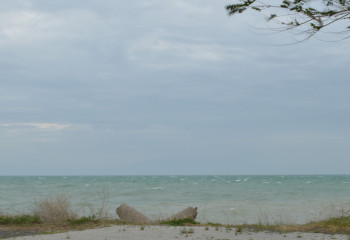 Алакөлдегі ұшақ апаты: ААК оқиғаның мән-жайын айтты